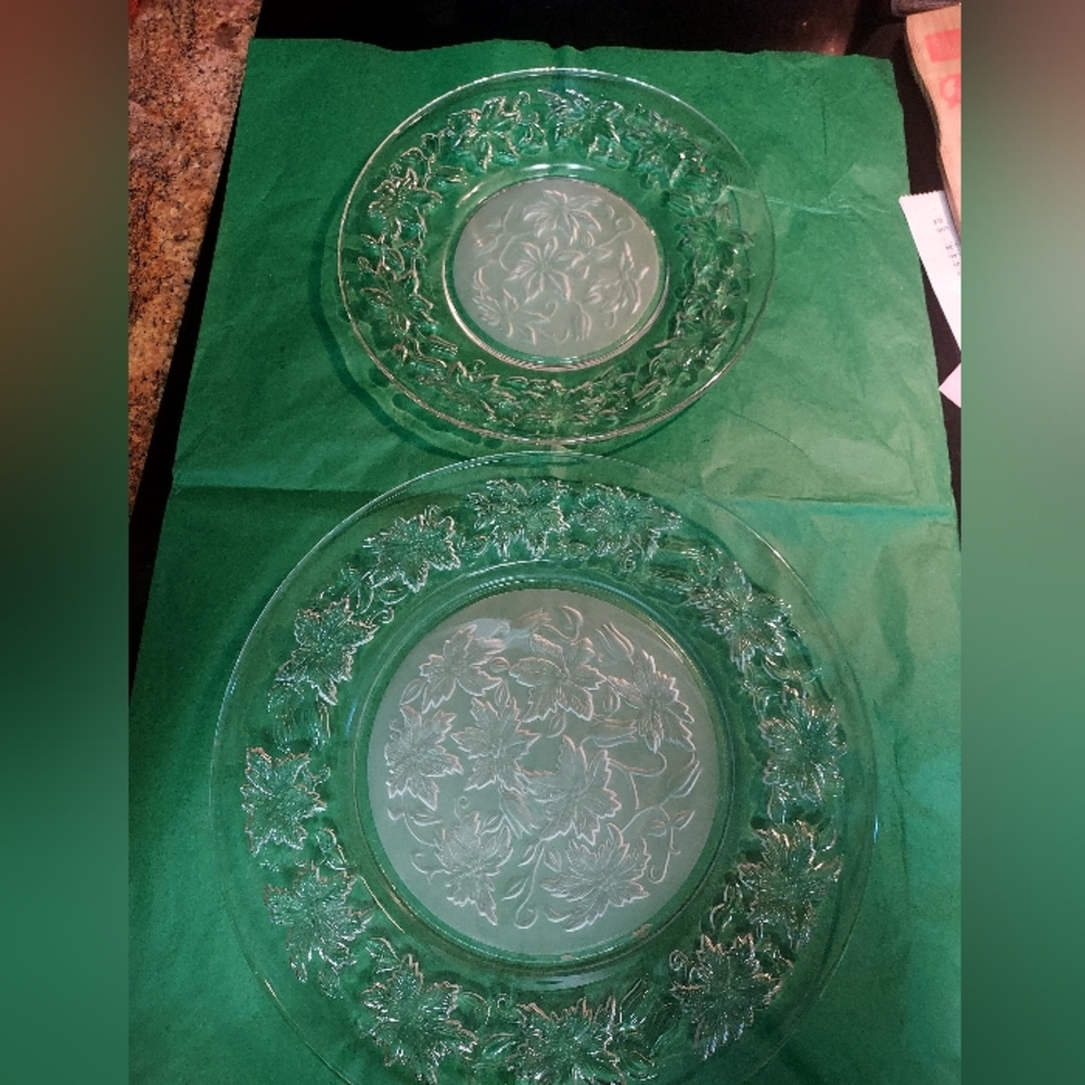 Princess House Fantasia Dinner Plate+Salad/Desert Plate New